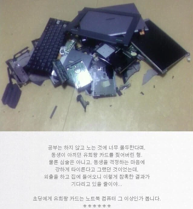 동생이 아끼는 유희왕 카드를 찢었더니