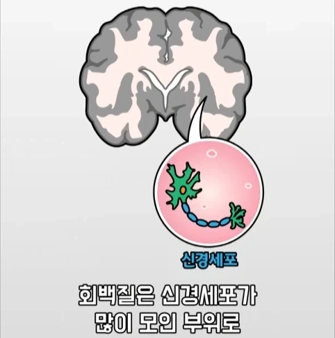 아빠가 되면 남자의 몸에도 변화가 생긴다는 연구.jpg - 이미지 16