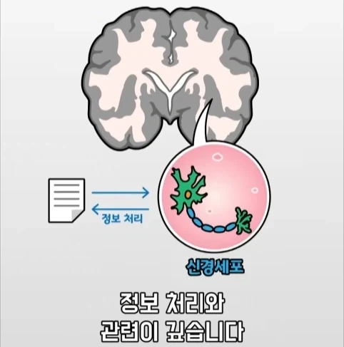 아빠가 되면 남자의 몸에도 변화가 생긴다는 연구.jpg - 이미지 17