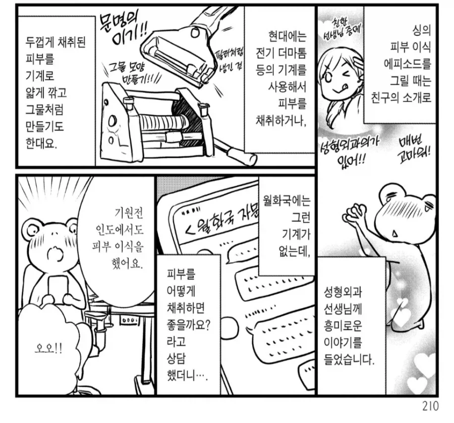고대 린도의 피부이식수술