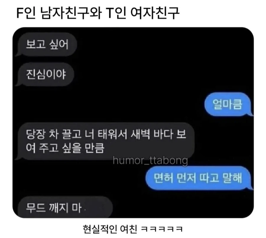 F남친과 T여친