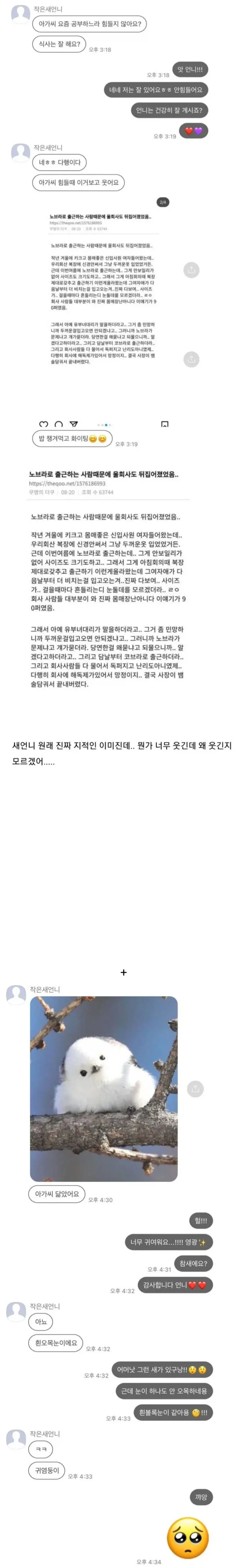 평소엔 지적인 새언니가 아가씨에게 보내는 카톡
