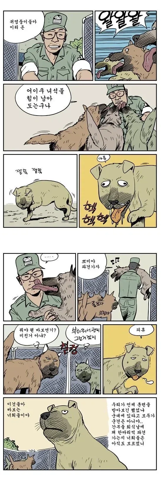 말년 군견이 바보연기하는 이유 - 이미지 2