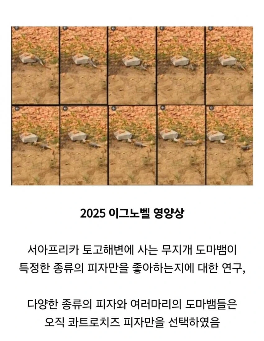 콰트로치즈피자가 제일이며 이는 무지개