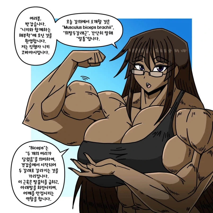 위팔두갈래근에 대해