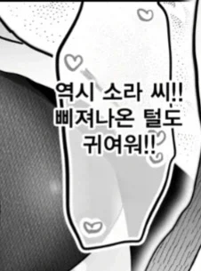 순애물의 묘미