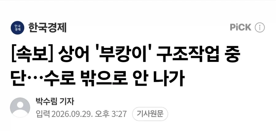 상어 ＇부캉이＇ 구조작업 중단…수로 밖으로 안 나가