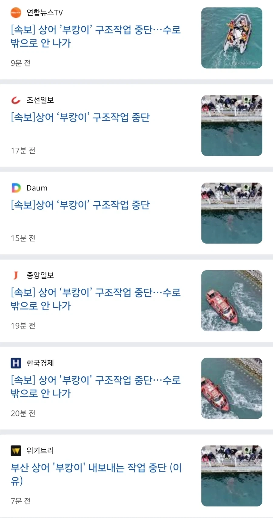 사실 부캉이 임신한 거 아님?