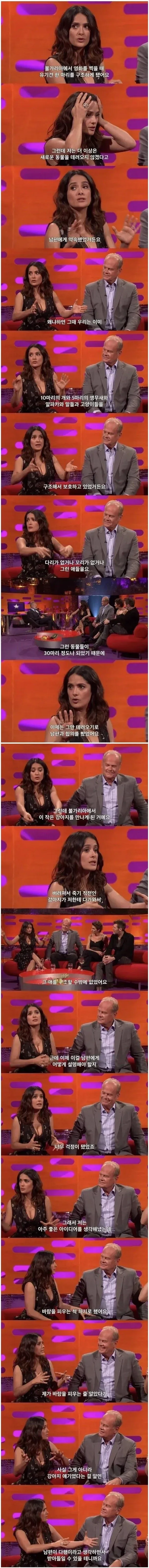여보 미안해... 너무 외로워서 그랬어