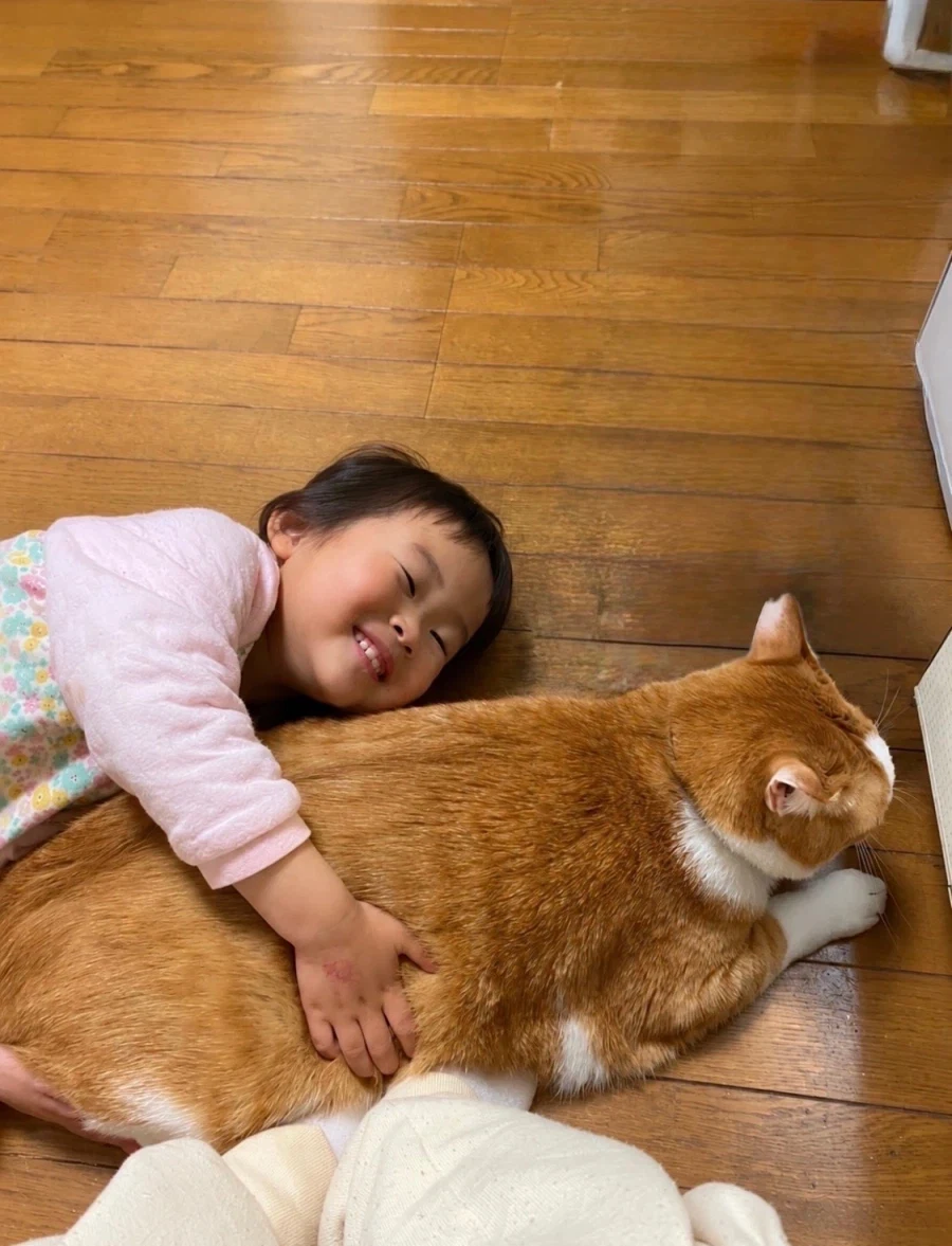 지고의 행복.jpg