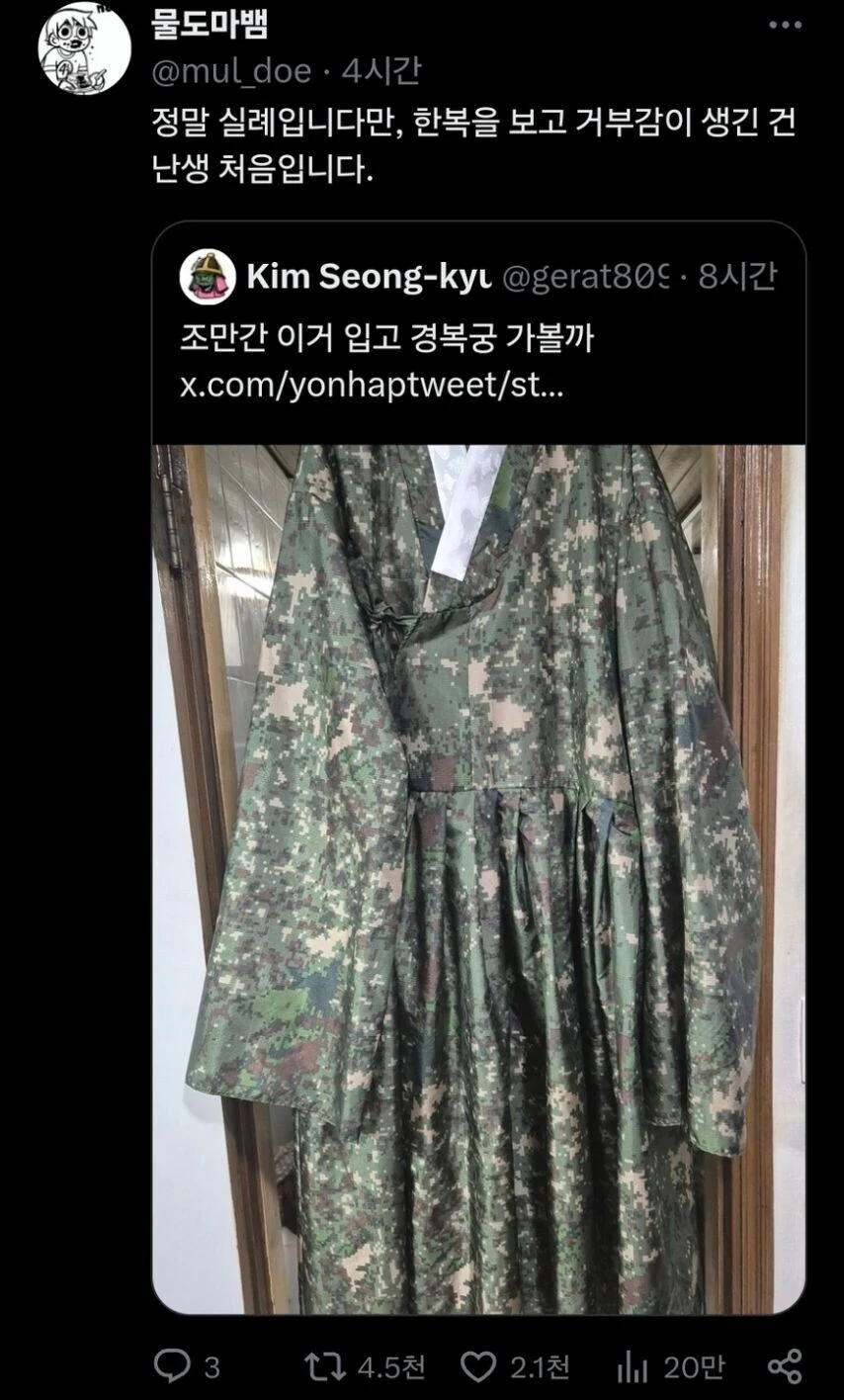 한국사람도 거부감 느낀다는 한복.jpg