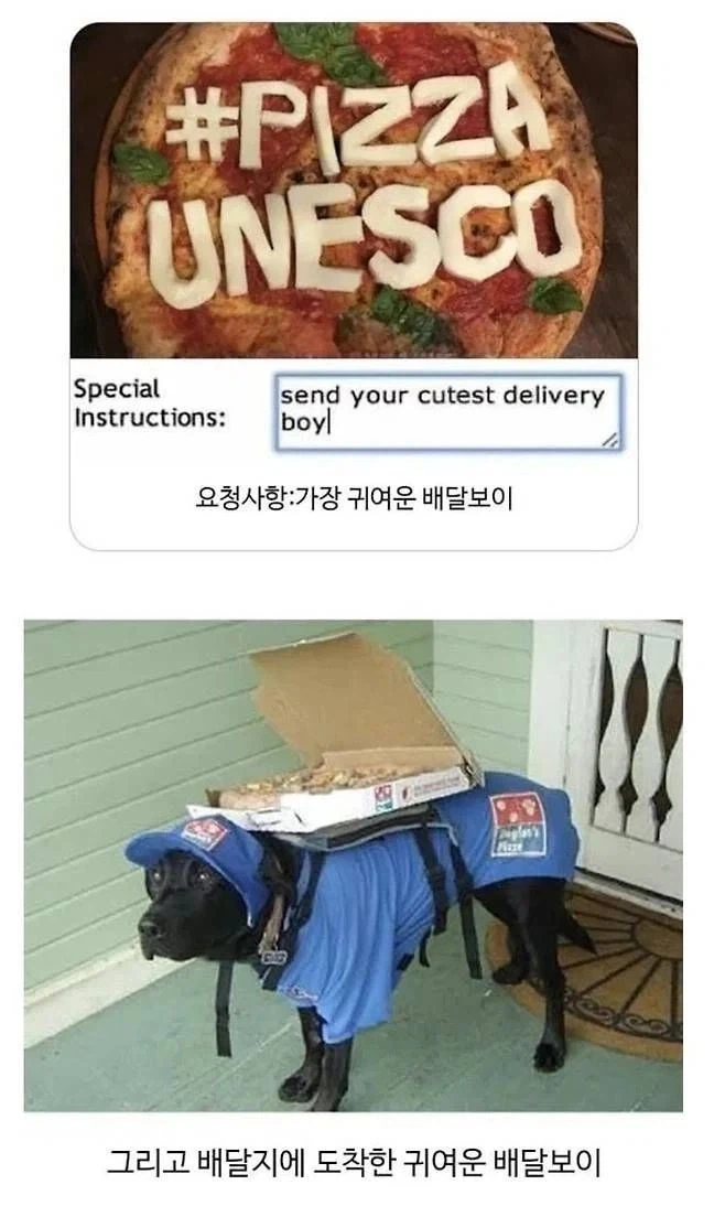 요청사항을 들어준 피자가게.jpg