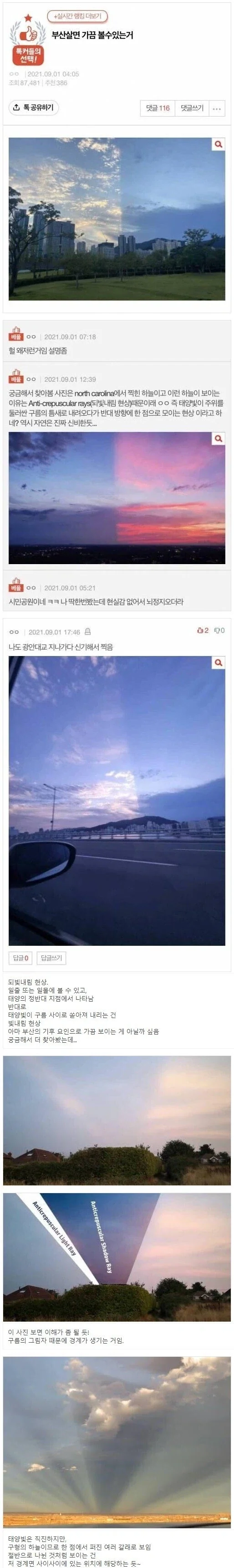 부산 살면 가끔 볼 수 있다는 현상.jpg
