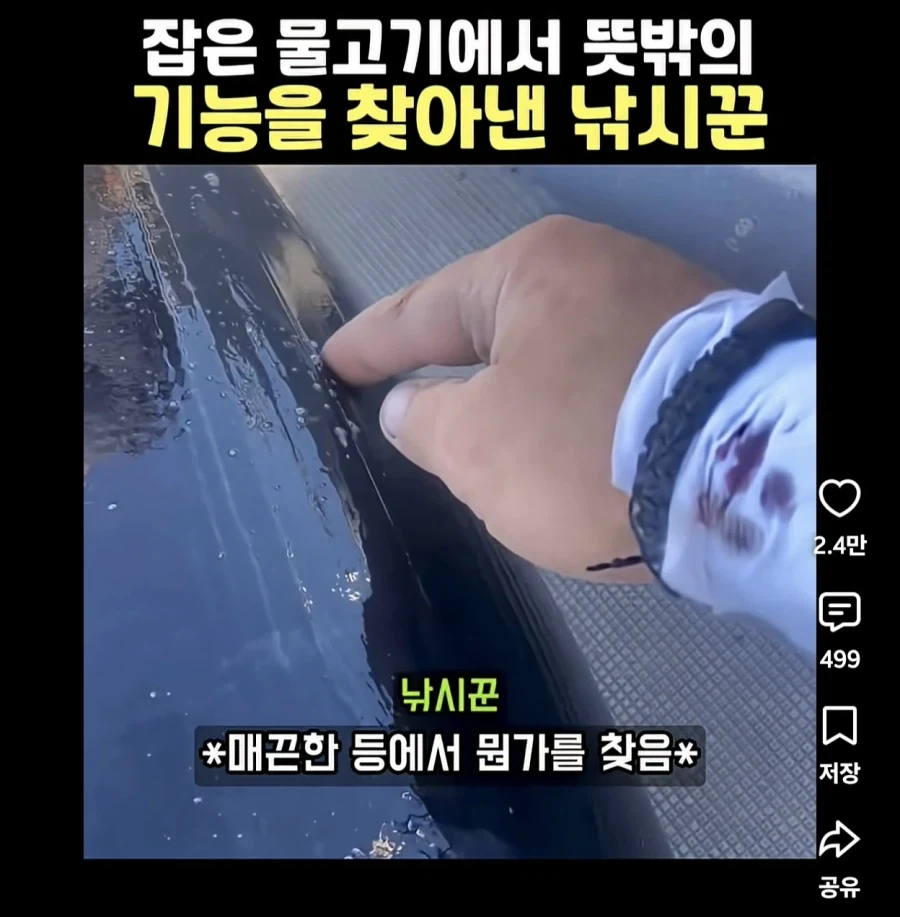 니들 참치 등 지느러미 수납되는거 알고있음?