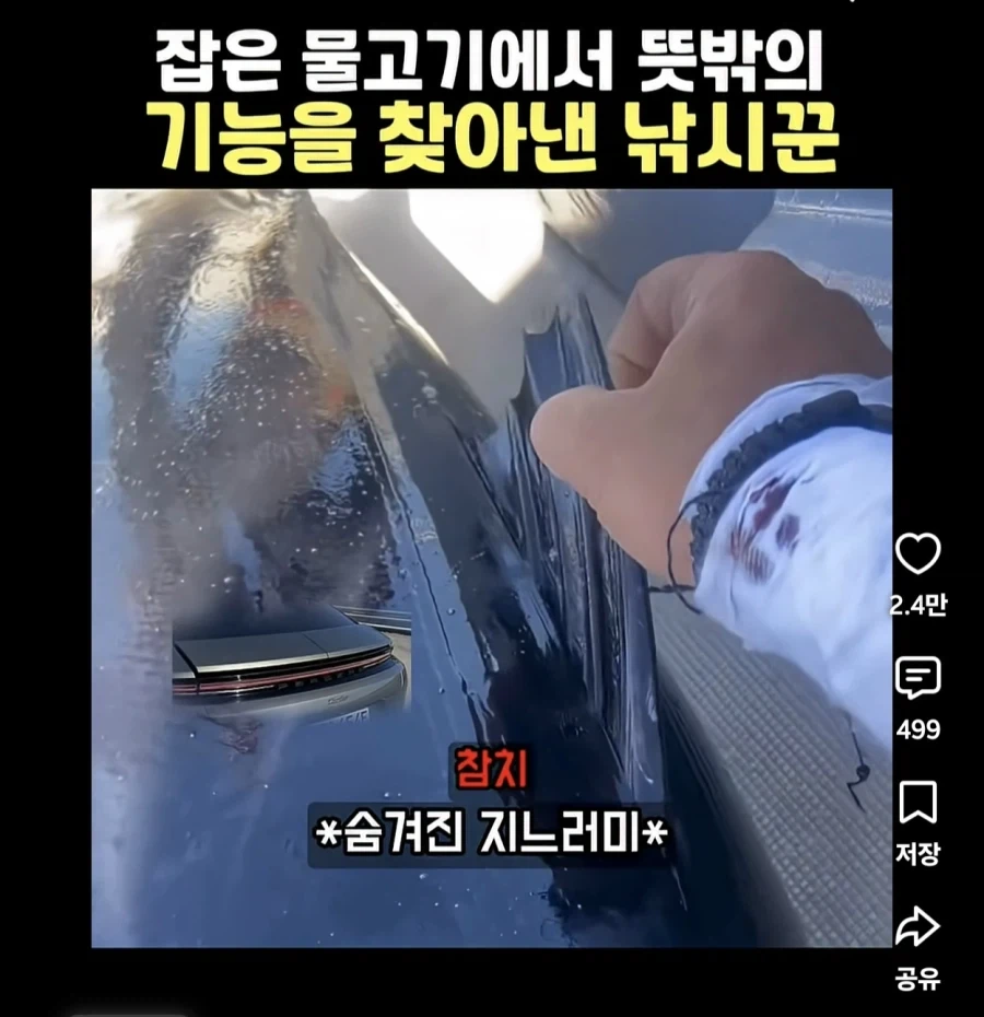 니들 참치 등 지느러미 수납되는거 알고있음? - 이미지 2