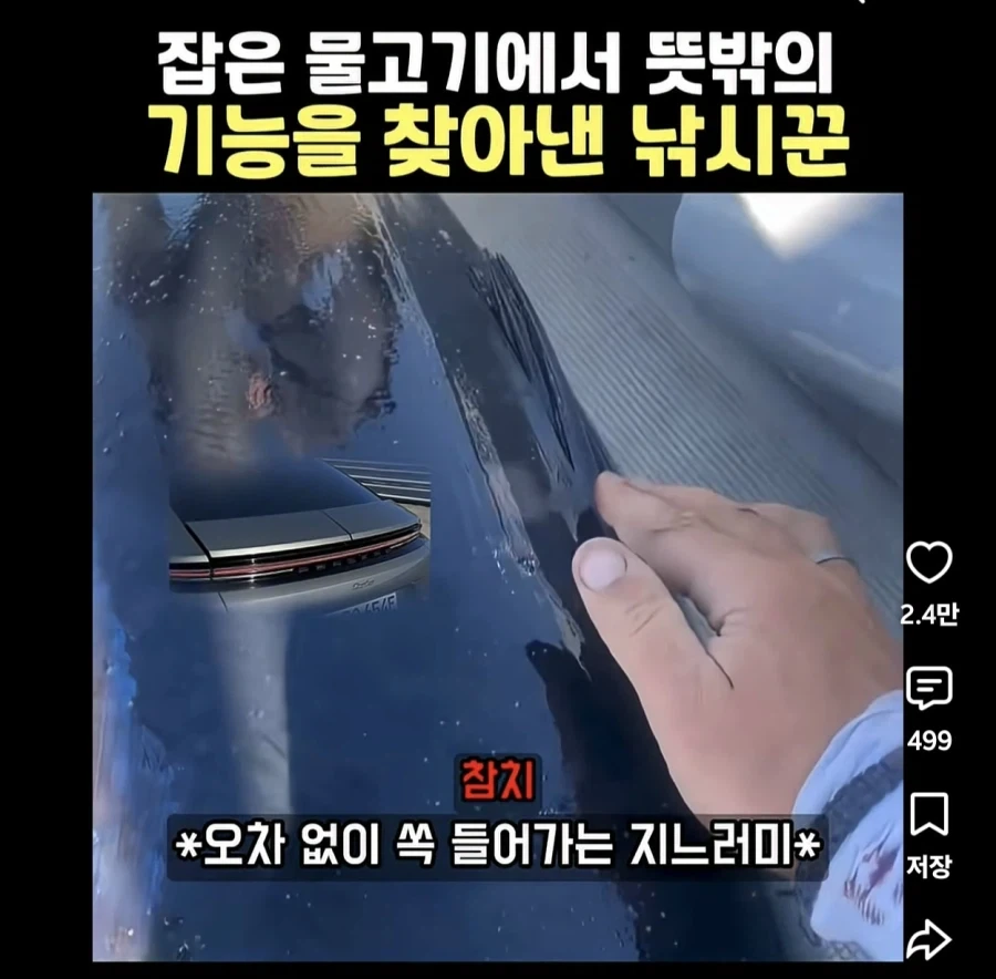 니들 참치 등 지느러미 수납되는거 알고있음? - 이미지 3