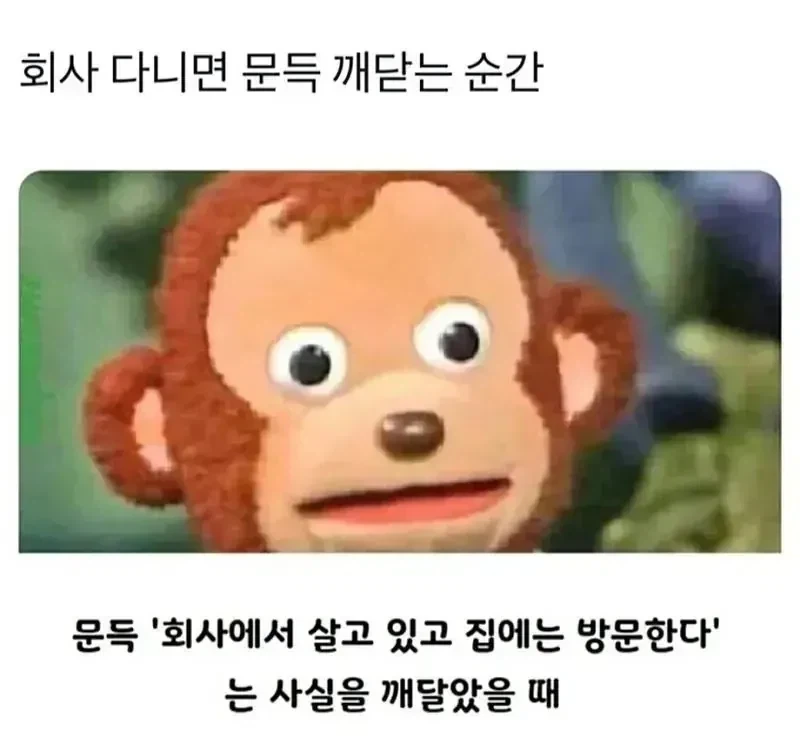 회사 다니면 문득 깨닫는 순간