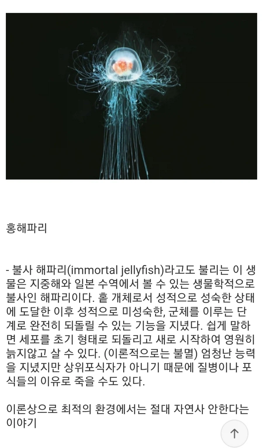자연사로는 절대 죽지 않는 유전자를 지닌 생물