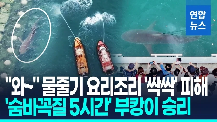 "와~" 물줄기 요리조리 ＇싹싹＇ 피해, ＇숨바꼭질 5시간＇ 부캉이 승리!