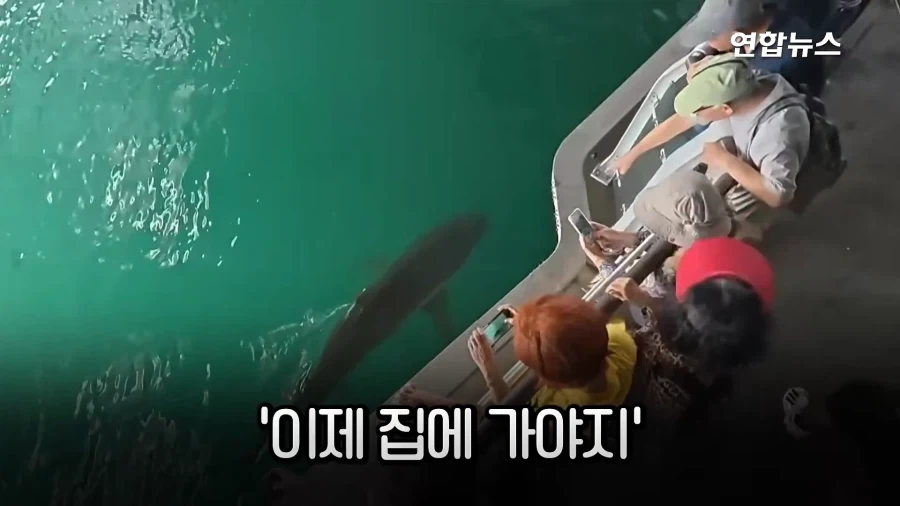 "와~" 물줄기 요리조리 ＇싹싹＇ 피해, ＇숨바꼭질 5시간＇ 부캉이 승리! - 이미지 2