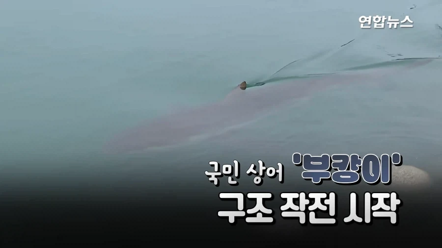 "와~" 물줄기 요리조리 ＇싹싹＇ 피해, ＇숨바꼭질 5시간＇ 부캉이 승리! - 이미지 4