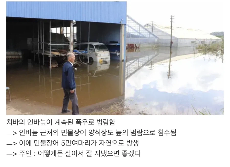 멘탈터진 일본 장어양식장