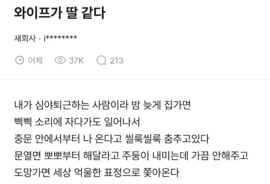 장모님 딸이 내 딸 같다