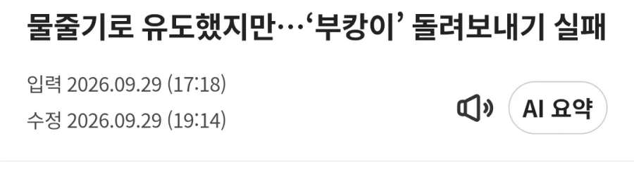 이쯤 되면 상관관계를 의심해도 되는 요소 - 이미지 3