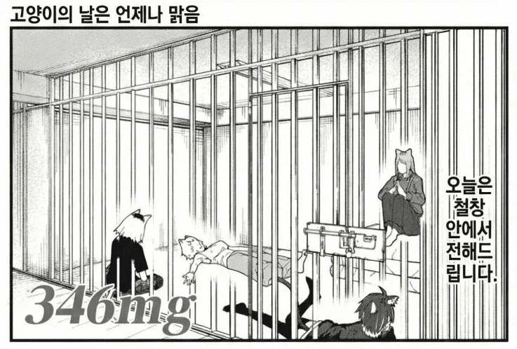 [담배고양이] 경범죄는 사면해주는 이벤트