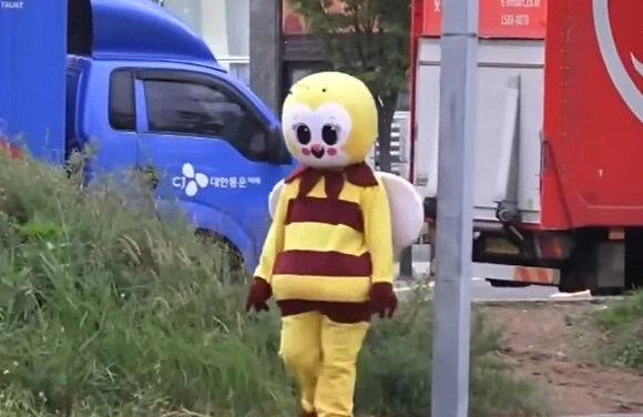 파주 일산 꿀벌이 활동 중단