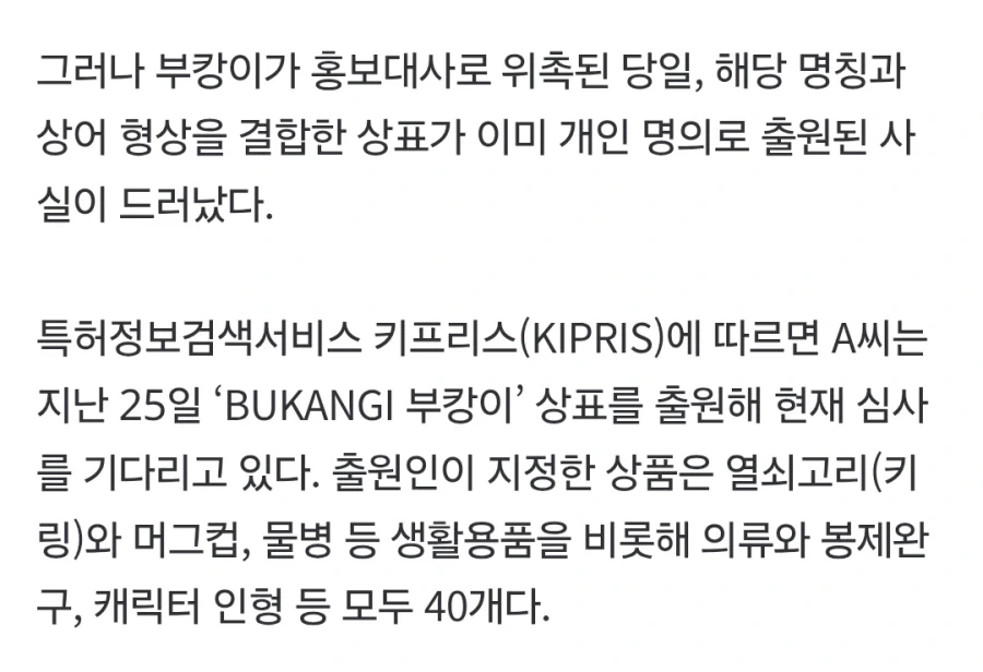 부캉이를 명예홍보대사로 위촉하려던 부산 시. - 이미지 4
