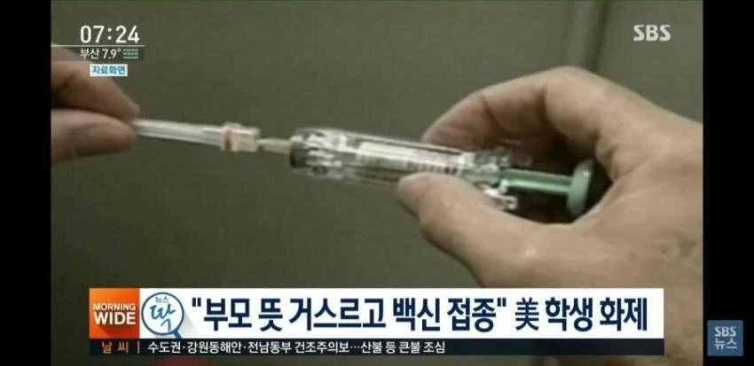 적반하장 부모류 甲