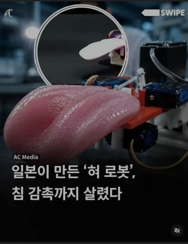 일본이 만들어낸 로봇