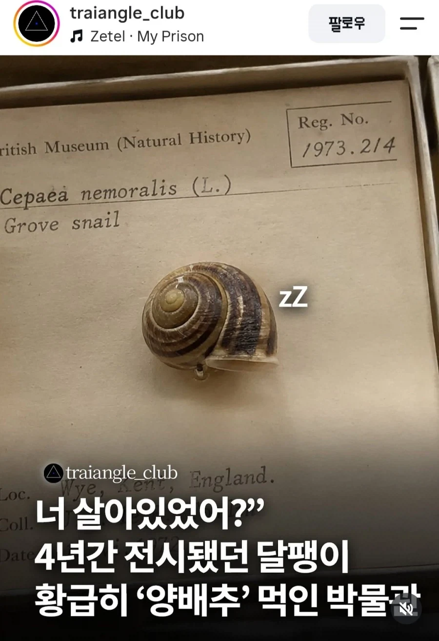 4년간 납치 감금 전시했는데 살아있었던 사건