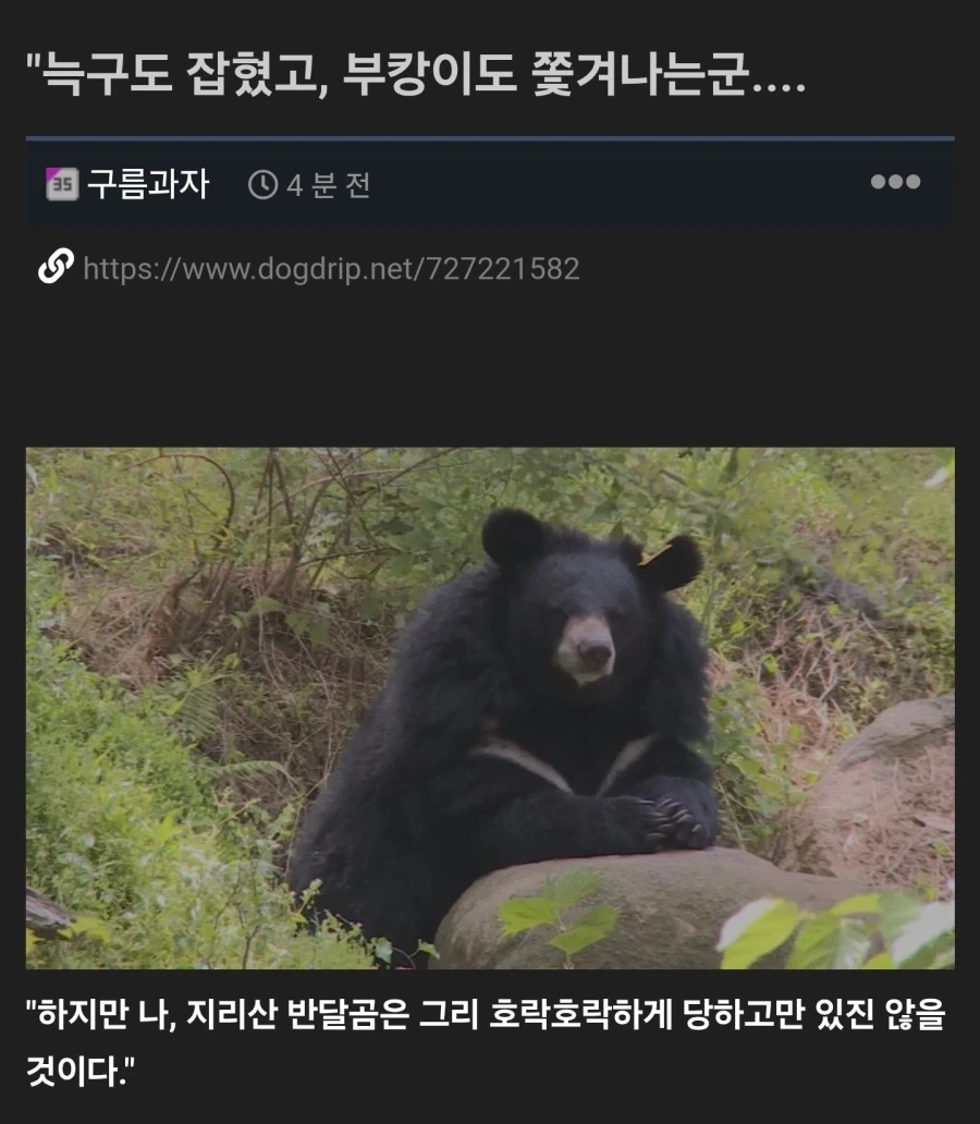 ???:"늑구도 잡혔고, 부캉이도 쫓겨나는군...."
