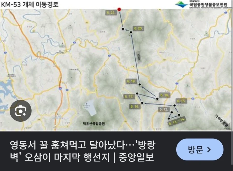 늑구 상구 이전 오삼이.jpg - 이미지 2