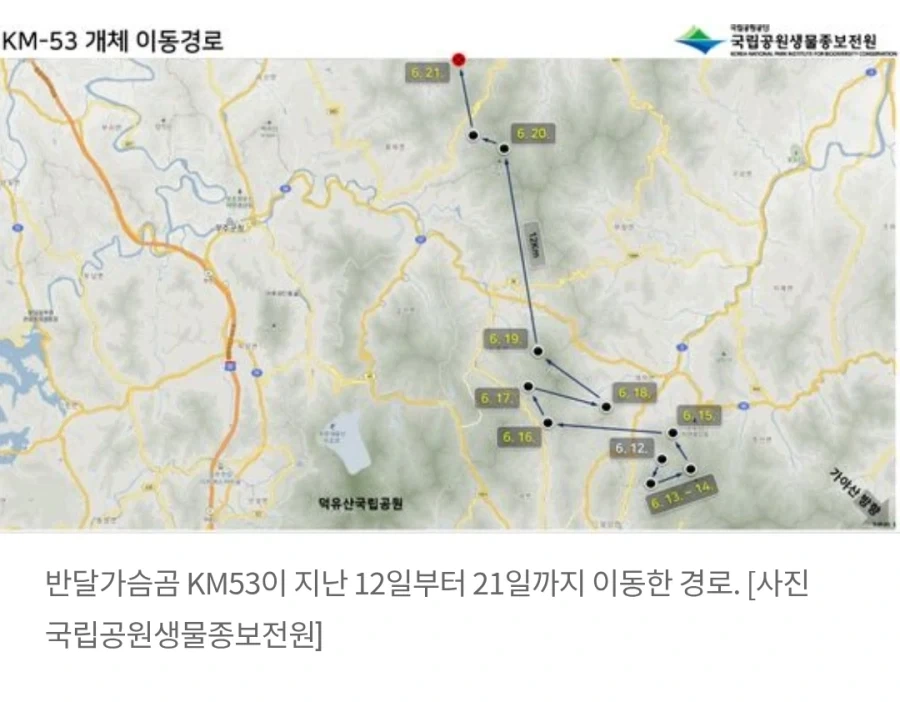 늑구 상구 이전 오삼이.jpg - 이미지 3
