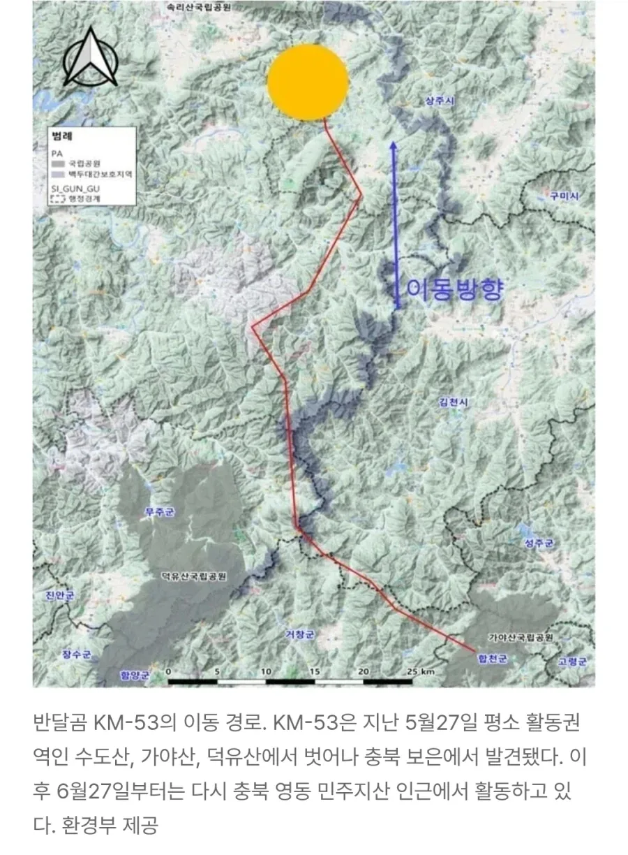 늑구 상구 이전 오삼이.jpg - 이미지 4