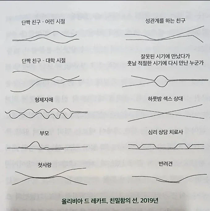 인간관계에 따른 질주름 형태