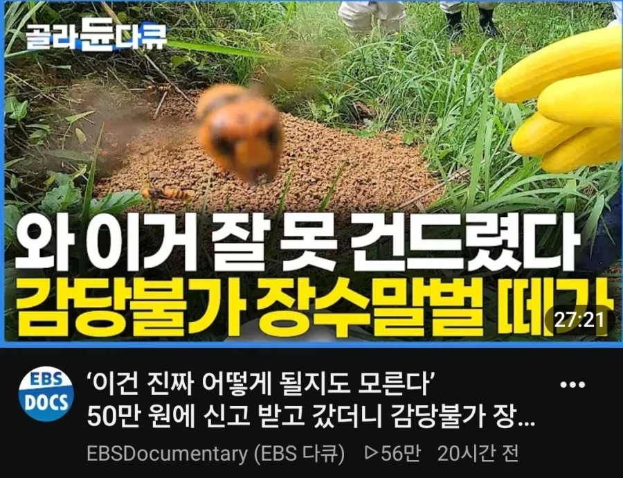 카메라맨의 마지막 촬영