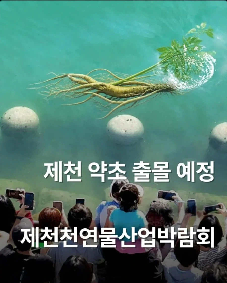 부산 북항 상어 인파가 부러웠던 충북 제천시