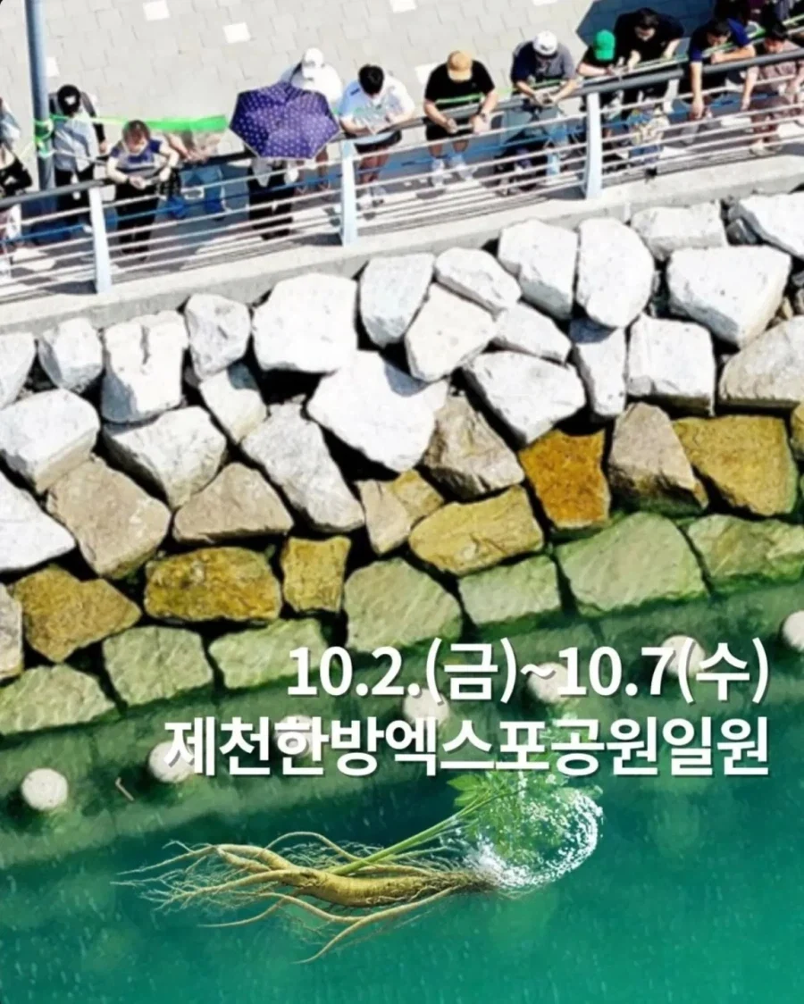 부산 북항 상어 인파가 부러웠던 충북 제천시 - 이미지 2