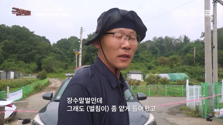 말벌에 강하다는 벌꾼이 장수말벌에 쏘였을 때 - 이미지 13