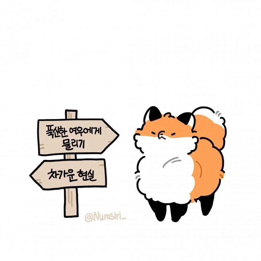 차가운 현실 살기 vs