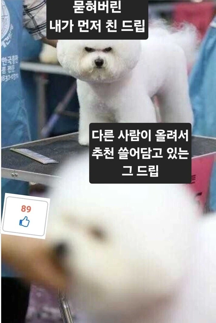언니 무조건 쟤보다 예쁘게 해주세요