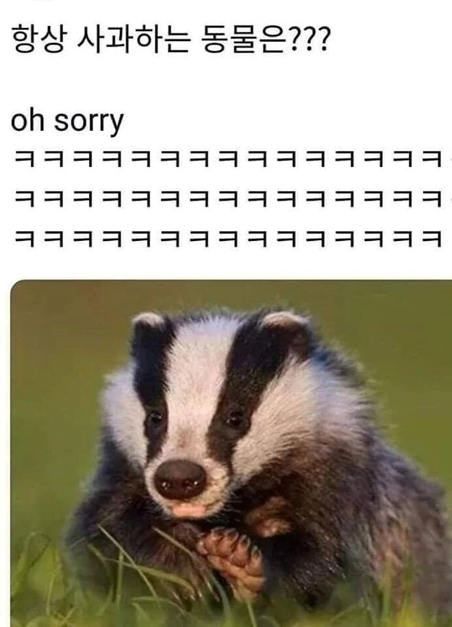 늘 사과하는 동물은?