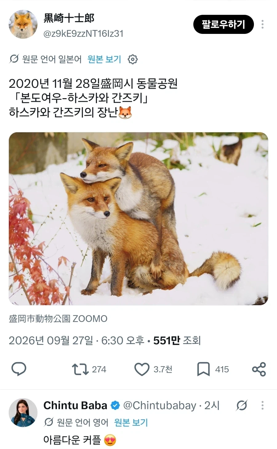 여우 특