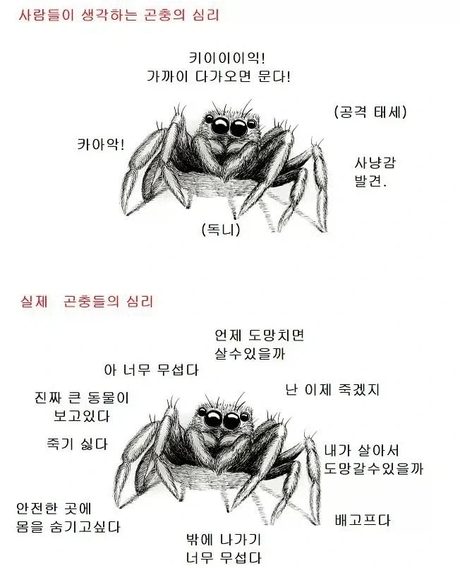 사람들이 생각하는 벌레의 심리vs벌레가 생각하는 벌레의 심리