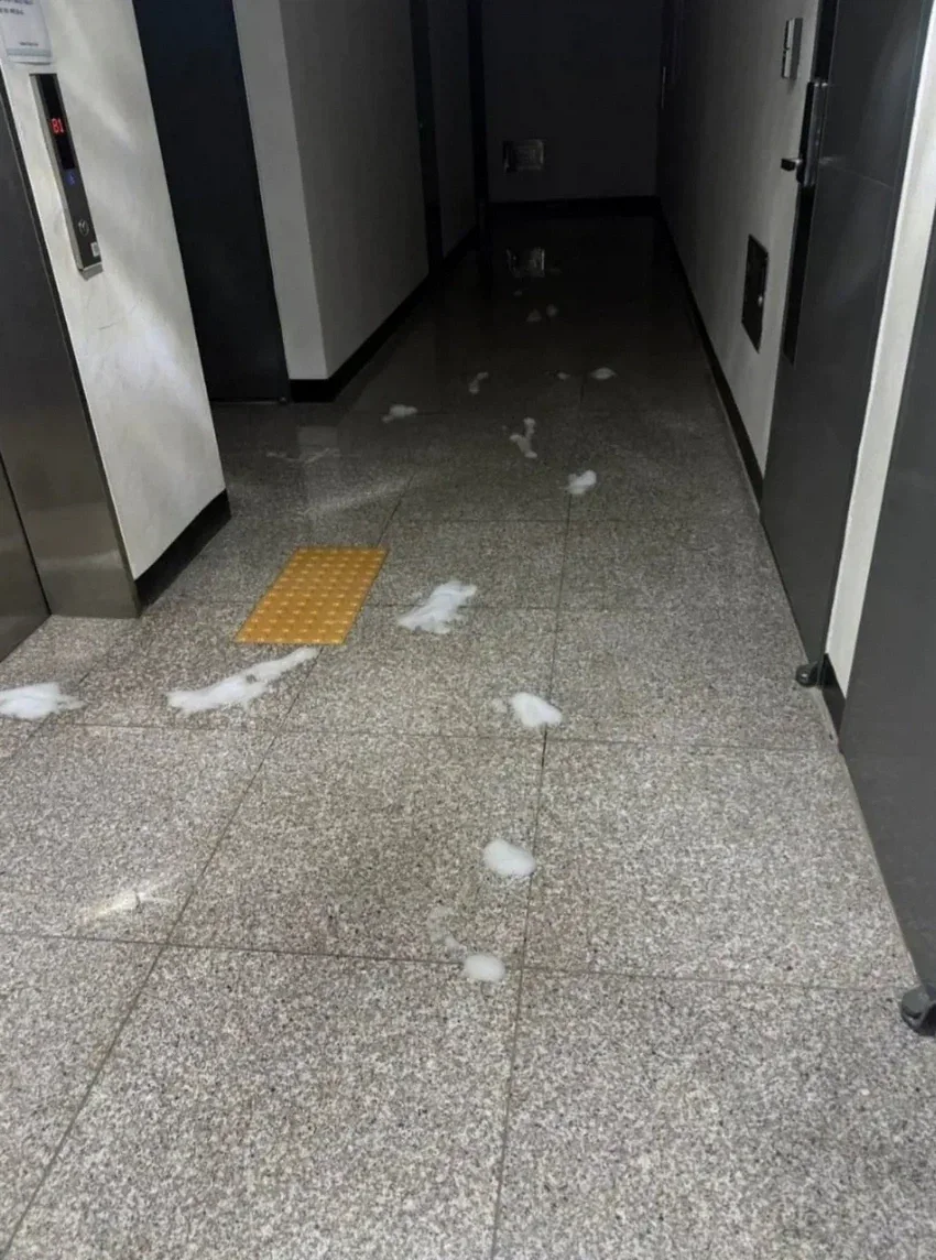 직업정신 쩔었던 배달 기사