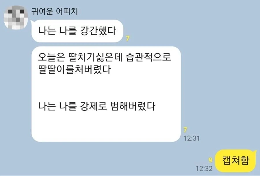 나는 나를 범해버렸다